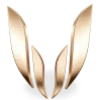 SKYRIM WRIST